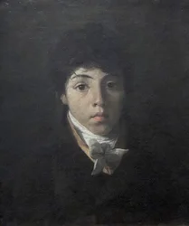 Ritratto del giovane Teodoro Taunay